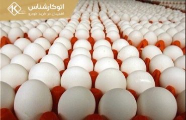 قیمت تخم‌مرغ تعیین‌تکلیف می‌شود